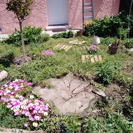 Les Toiles Du Figuier Bed & Breakfast Esperaza